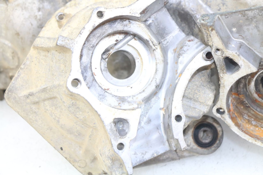 photo de ENGINE CRANKCASE DAELIM S FIVE 2T 50 (2005 - 2009) - Focus on structure