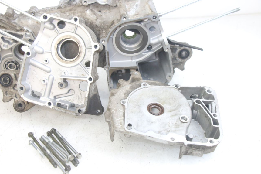 photo de ENGINE LOWER CASING JM MOTORS EVOLIS 4T 50 (2018 - 2022) - Distinctive features