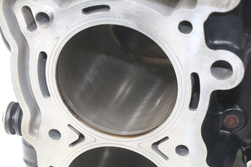 photo de ENGINE CRANKCASE BMW F GS K81 850 (2018 - 2023) - Alternative perspective