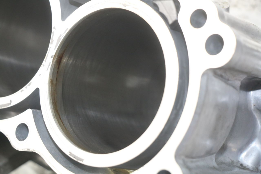 photo de ENGINE CRANKCASE HONDA INTEGRA NC D 750 (2016 - 2018) - Surface and material condition