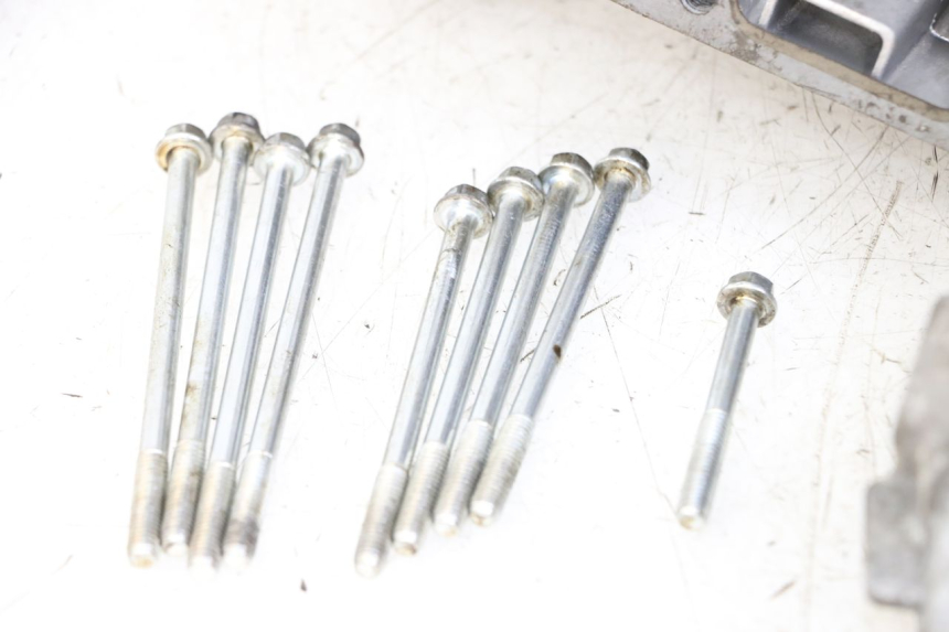 photo de ENGINE CRANKCASE JM MOTORS MIA 50 (2017 - 2020) - Main view