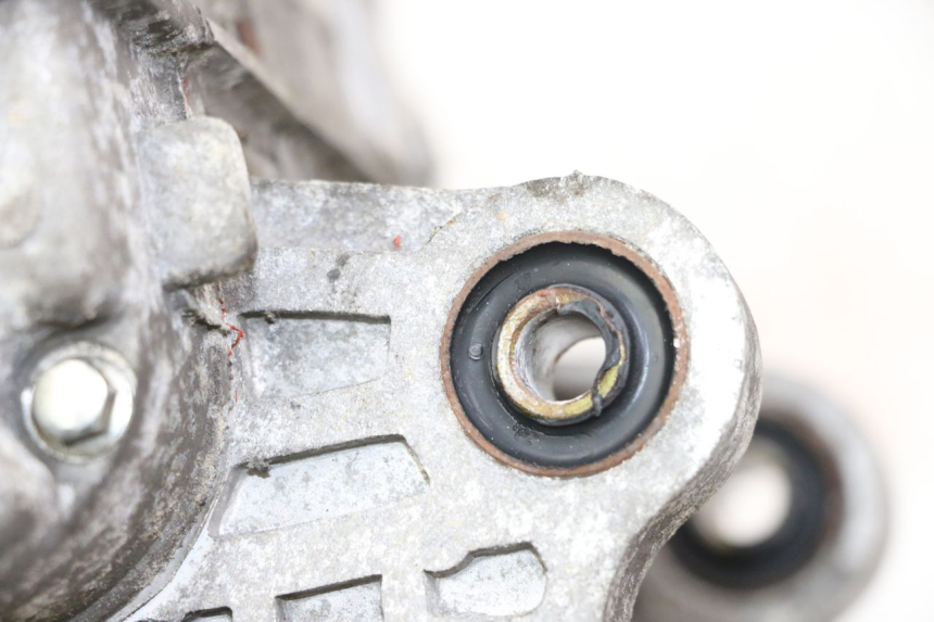 photo de ENGINE CRANKCASE JM MOTORS MIA 50 (2017 - 2020) - Alternative perspective