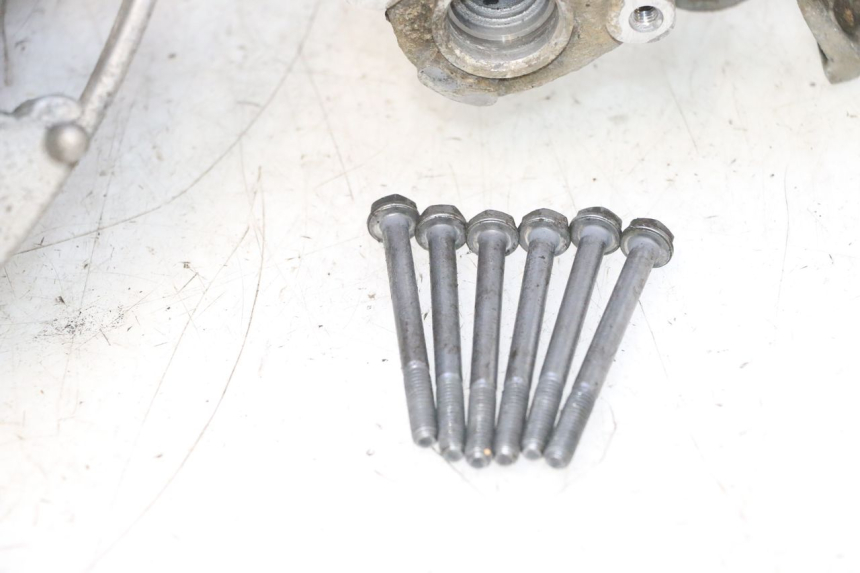 photo de ENGINE LOWER CASING PEUGEOT LUDIX 50 (2005 - 2007) - Alternative perspective
