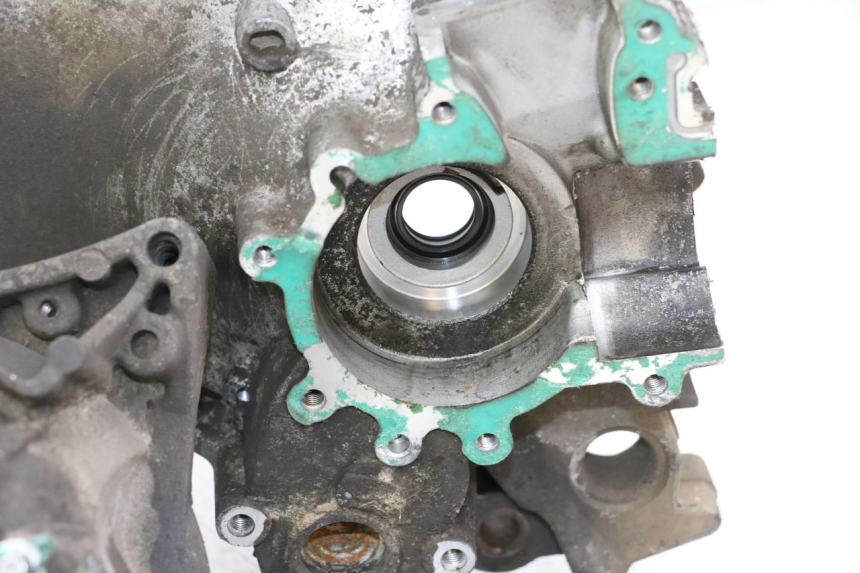 photo de ENGINE LOWER CASING PEUGEOT LUDIX 50 (2008 - 2017) - Detailed visual inspection