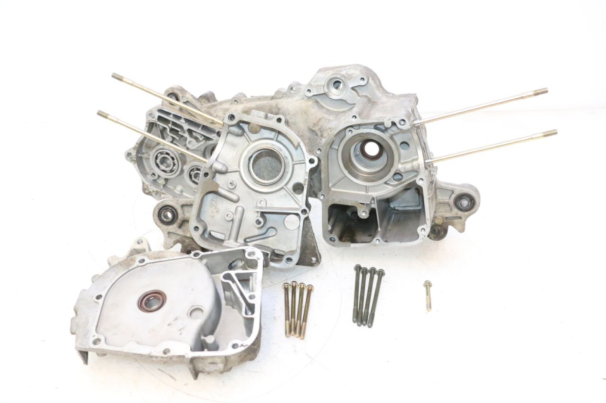 photo de ENGINE CRANKCASE JM MOTORS SANTANA 50 (2014 - 2023) - Component detail