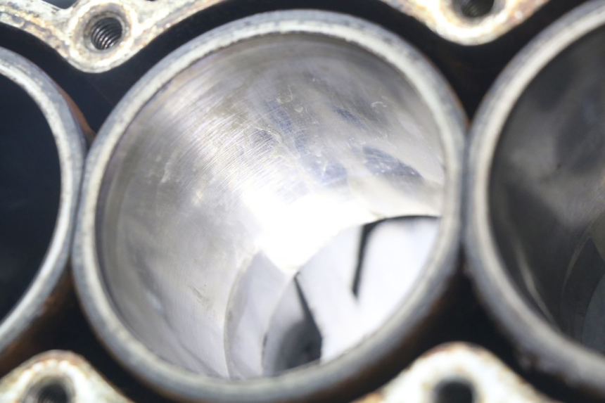 photo de ENGINE LOWER CASING TRIUMPH SPRINT ST 955 (1999 - 2001) - Focus on structure