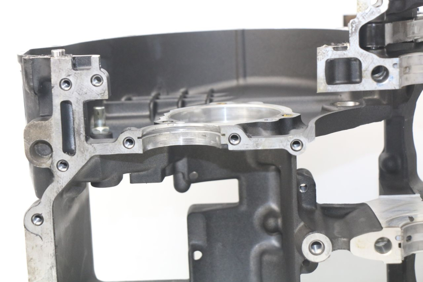 photo de ENGINE CRANKCASE YAMAHA TDM ABS 900 (2002 - 2014) - Zoom on usage condition