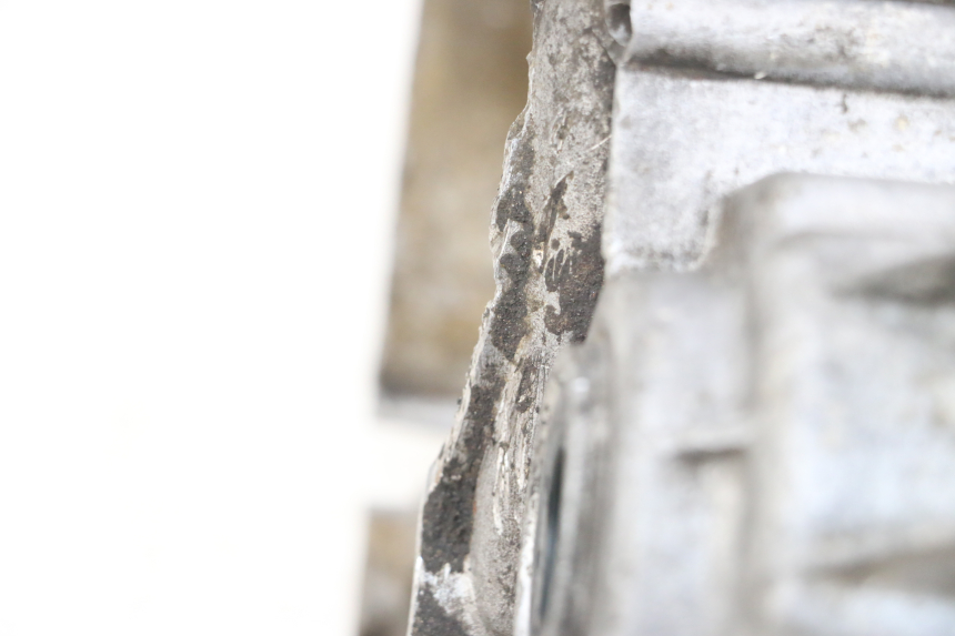 photo de ENGINE CRANKCASE KEEWAY TX 50 (2008 - 2015) - Additional view of the item