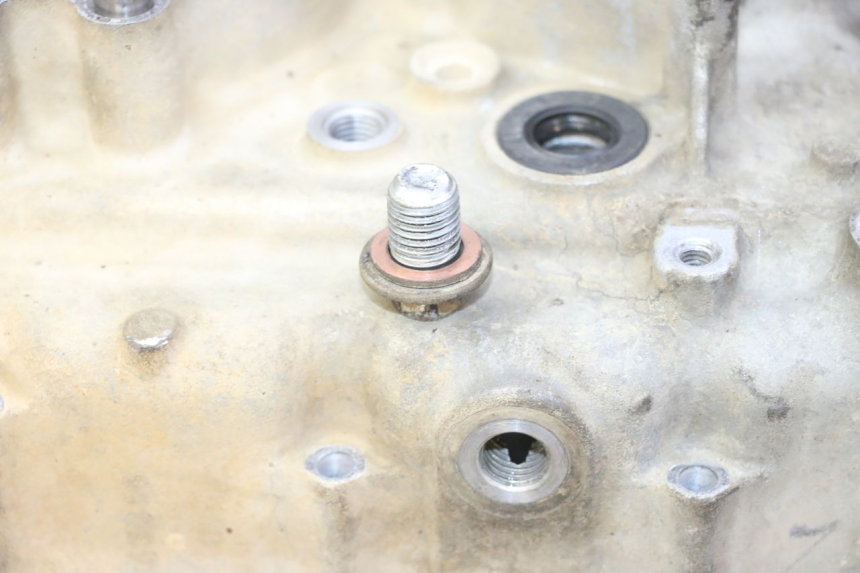 photo de ENGINE CRANKCASE YAMAHA YFM R RAPTOR 250 (2008 - 2014) - Supplementary product photo