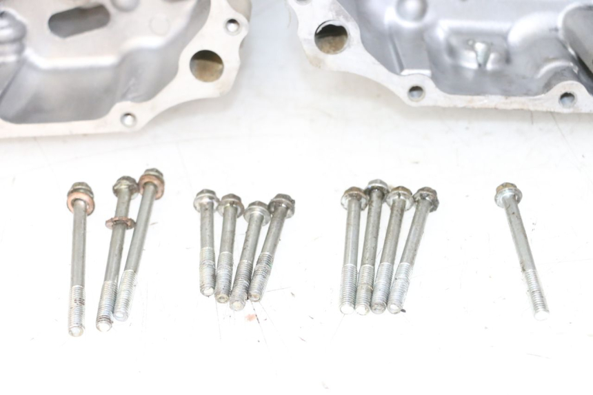 photo de ENGINE CRANKCASE YAMAHA YFM R RAPTOR 250 (2008 - 2014) - Detailed visual inspection