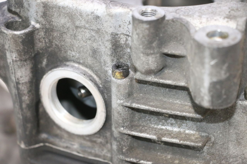 photo de ENGINE CRANKCASE YAMAHA YP MAJESTY 125 (2007 - 2010) - Alternative perspective