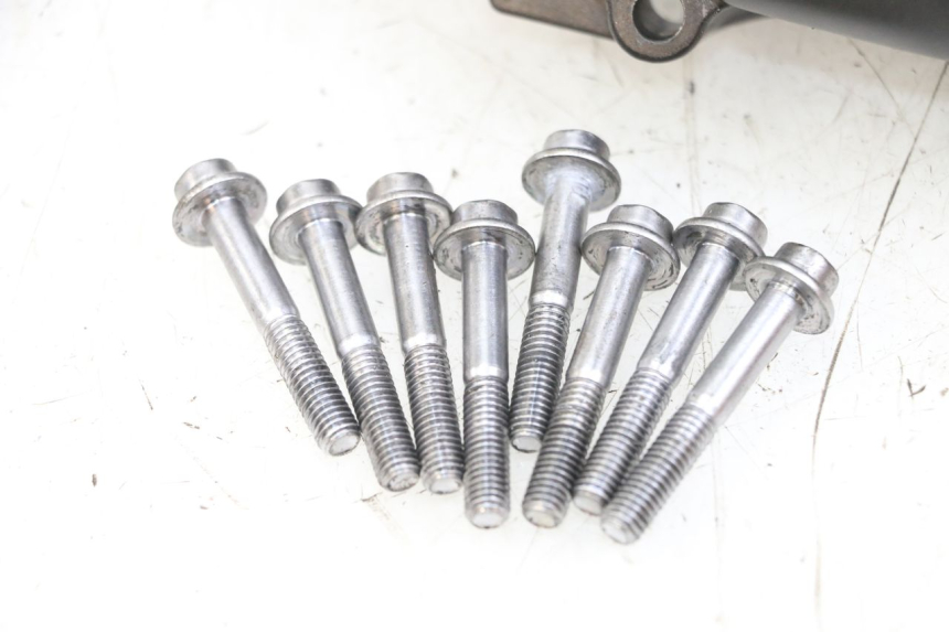 photo de CLUTCH COVER YAMAHA FZ1 FAZER 1000 (2007 - 2009) - Fixing points details