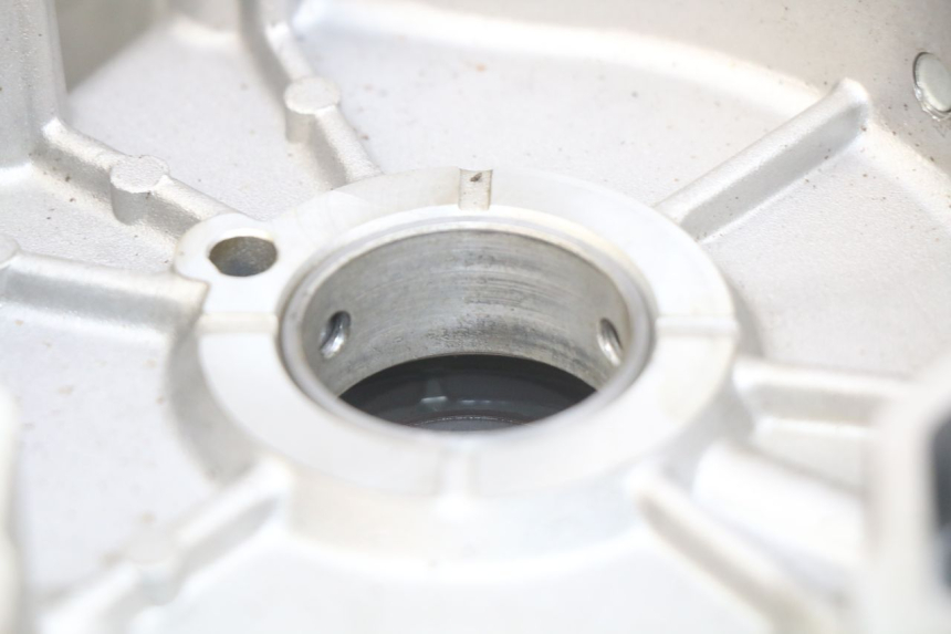 photo de LEFT ENGINE CASE APRILIA SCARABEO LIGHT 125 (2007 - 2011) - Alternative perspective