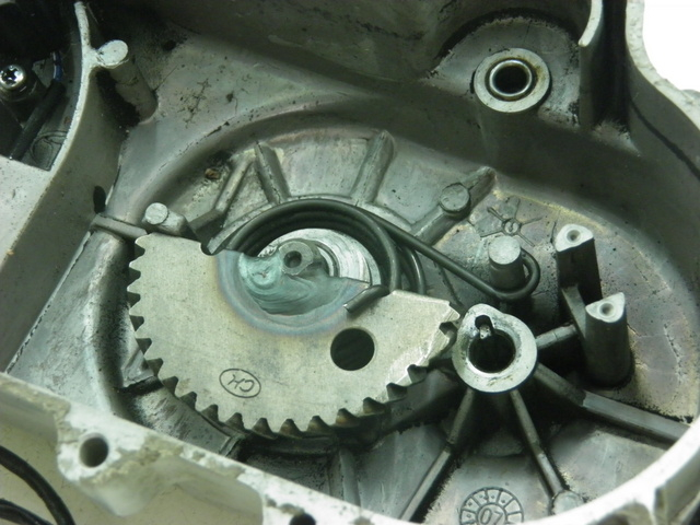 photo de DRIVE BELT COVER ROADSIGN WALLABY 50 (2009 - 2014) - Alternative perspective