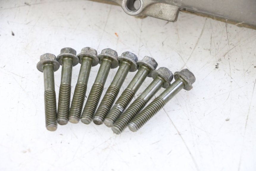 photo de VARIATOR COVER PGO RODOSHOW 2T 50 (2003 - 2007) - Surface and material condition