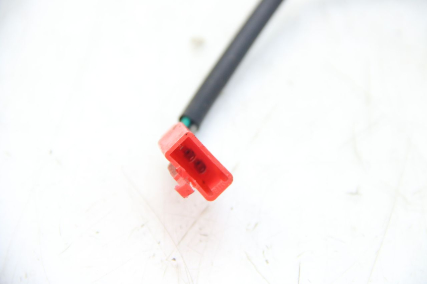 photo de FLASHING RELAY EUROCKA GTR 50 (2007 - 2017) - Alternative perspective