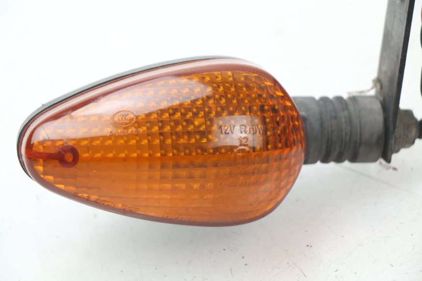 photo de REAR TURN SIGNAL ERIDER CARGO 1 (2009 - 2018) - Product overview