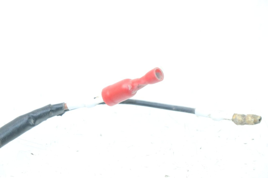 photo de REAR RIGHT TURN SIGNAL PGO BIG MAX 50 (2001 - 2009) - Technical close-up