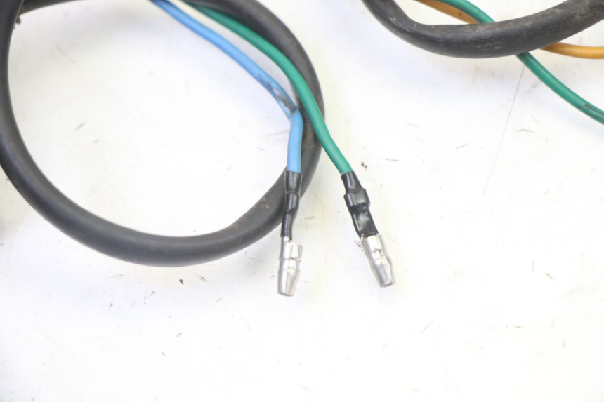 photo de REAR TURN SIGNAL STAHO FH 50 (2018 - 2019) - Surface and material condition