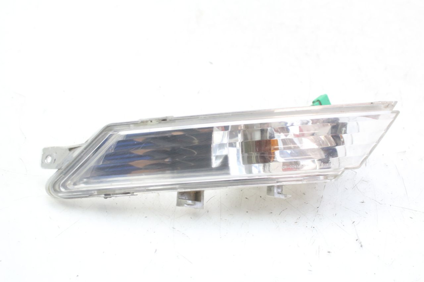 photo de REAR LEFT TURN SIGNAL PEUGEOT GEOPOLIS RS 125 (2007 - 2009) - Technical close-up