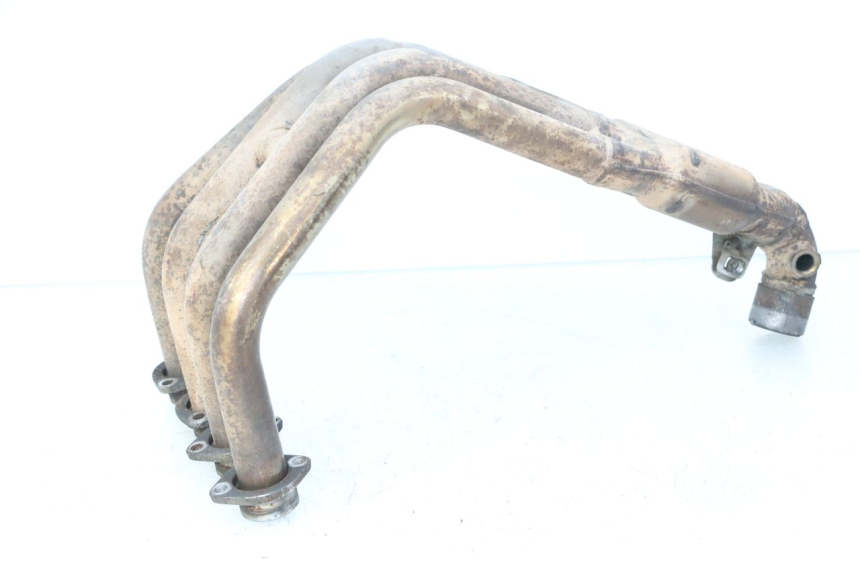 photo de COLLECTOR YAMAHA FZ6 FAZER S2 600 (2007 - 2011) - Main view