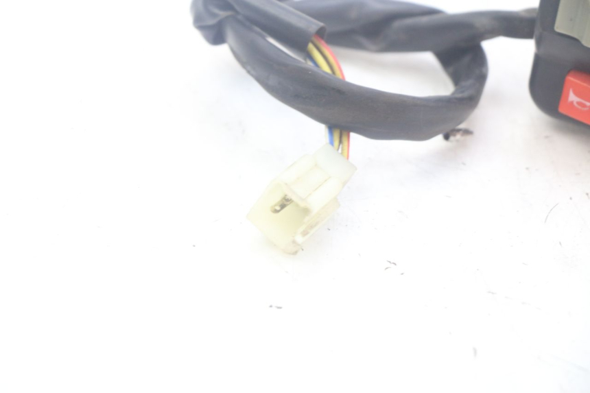 photo de RIGHT SWITCH DOLPHIN PYGMY 1 (2020 - 2024) - Alternative perspective