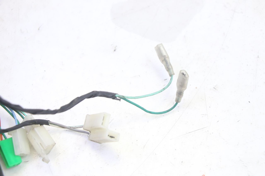 photo de SPEEDOMETER PEUGEOT TWEET PRO EFI 4T 50 (2021 - 2022) - Distinctive features