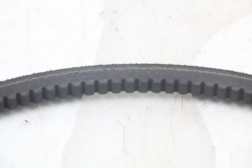 photo de BELT PEUGEOT 103 VOGUE VS2 50 (2004 - 2017) - Alternative perspective