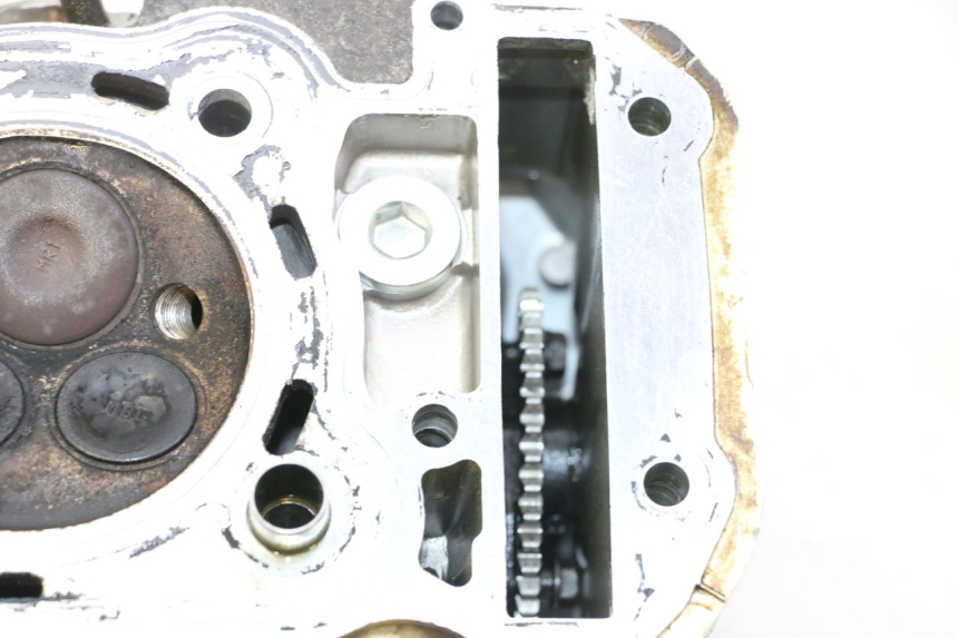 photo de FRONT CYLINDER HEAD HONDA NTV DEAUVILLE 650 (2001 - 2006) - Spare part profile view