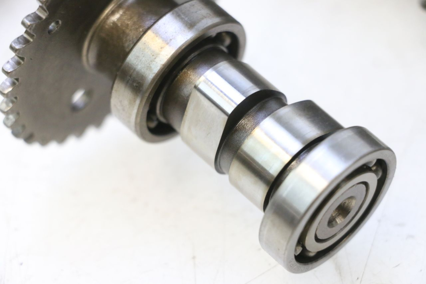 photo de CYLINDER HEAD MASH BIBOP 2.0 50 (2021 - 2026) - Spare part profile view