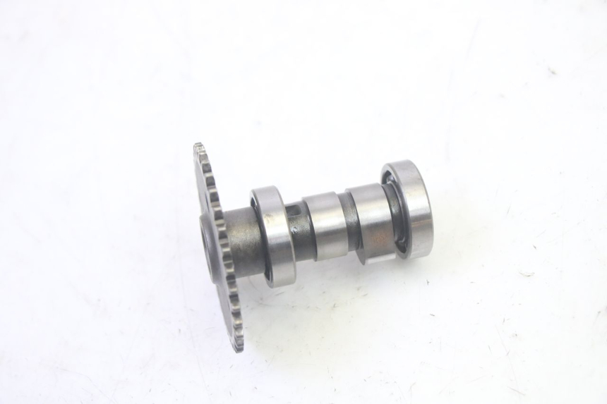 photo de CYLINDER HEAD LONGJIA DIGITA 4T 50 (2019 - 2022) - High-resolution close-up