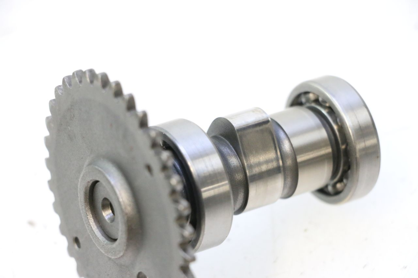 photo de CYLINDER HEAD JM MOTORS EVOLIS 4T 50 (2018 - 2022) - Additional view of the item