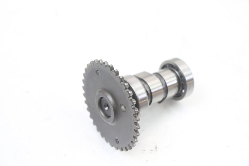 photo de CYLINDER HEAD MASH CITY 4T 50 (2018 - 2020) - Additional view of the item