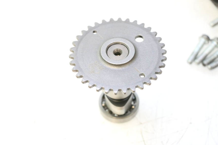 photo de CYLINDER HEAD JM MOTORS OLDIES 4T 50 (2020 - 2026) - Component detail