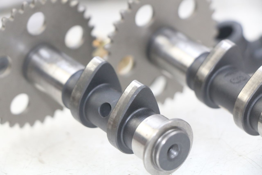 photo de CYLINDER HEAD APRILIA SCARABEO LIGHT 125 (2007 - 2011) - Main view