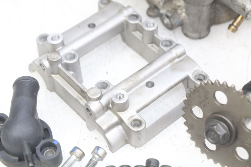 photo de CYLINDER HEAD APRILIA SCARABEO LIGHT 125 (2007 - 2011) - Technical close-up