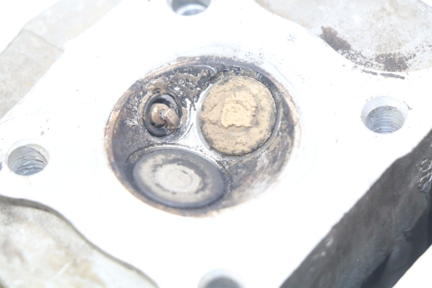 photo de CYLINDER HEAD EUROCKA VIRTUALITY GT 4T 50 (2011 - 2017) - Alternative perspective