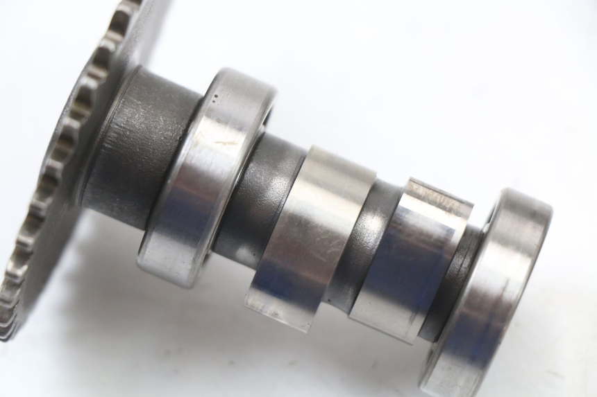 photo de CYLINDER HEAD UNIVERSAL BIKE ZN50QT-11B 50 (2018 - 2021) - Markings and original references