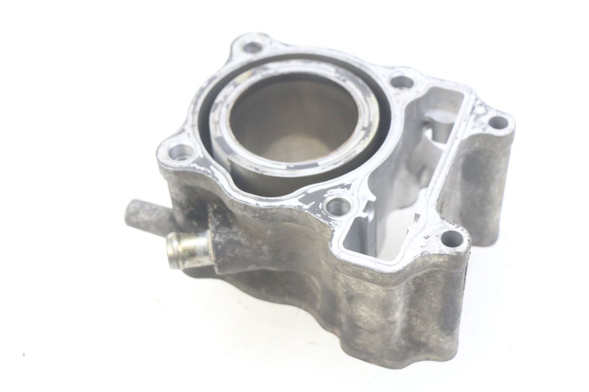 photo de CYLINDER HONDA FES PANTHEON 125 (2003 - 2007) - Main view