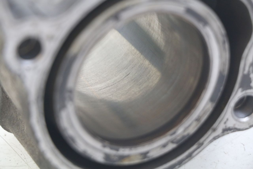 photo de CYLINDER HONDA FES PANTHEON 125 (2003 - 2007) - Alternative perspective