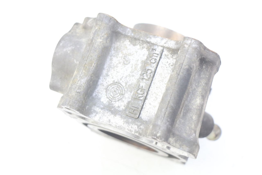 photo de CYLINDER HONDA FES PANTHEON 125 (2003 - 2007) - Fixing points details