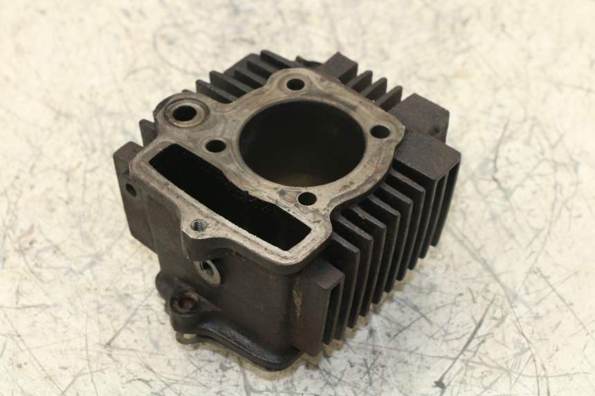 photo de CYLINDER BARREL PANTHERA PANTHERA 110 (2010 - 2017) - Main view