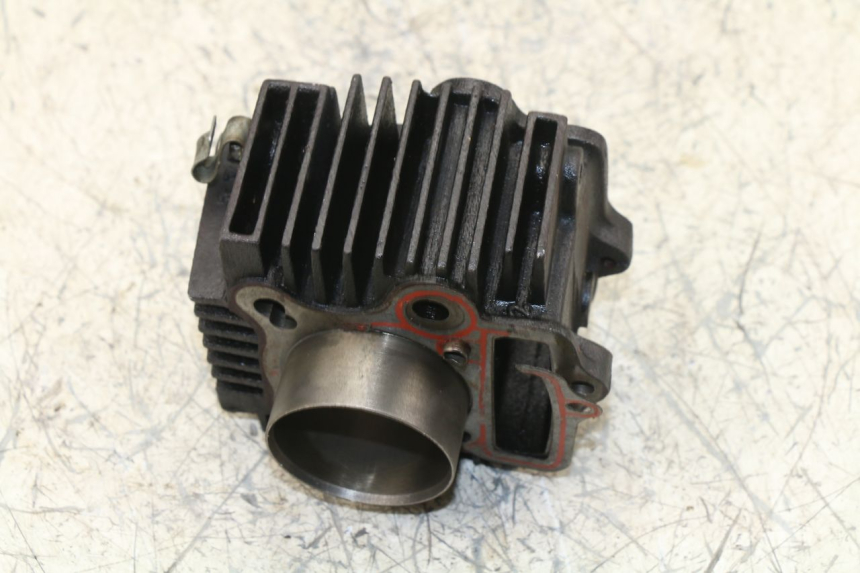 photo de CYLINDER BARREL PANTHERA PANTHERA 110 (2010 - 2017) - Additional view of the item