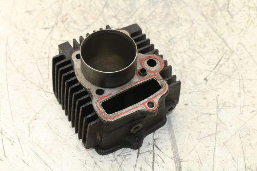 photo de CYLINDER BARREL PANTHERA PANTHERA 110 (2010 - 2017) - Zoom on usage condition