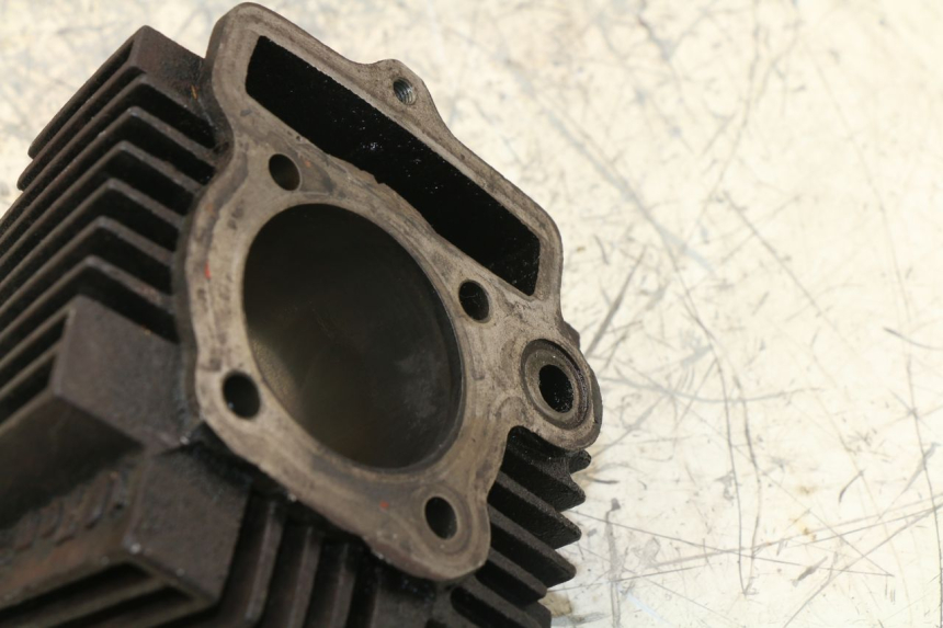 photo de CYLINDER BARREL PANTHERA PANTHERA 110 (2010 - 2017) - Alternative perspective