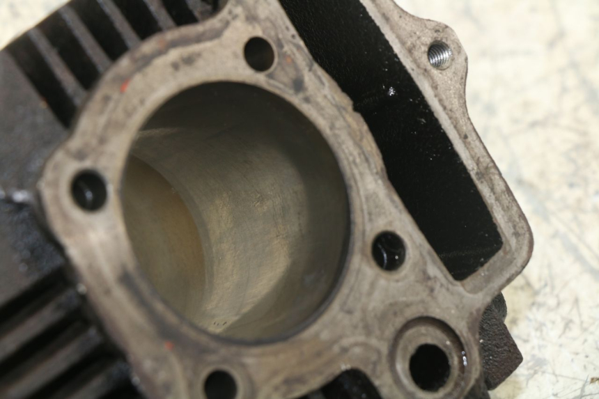 photo de CYLINDER BARREL PANTHERA PANTHERA 110 (2010 - 2017) - Surface and material condition