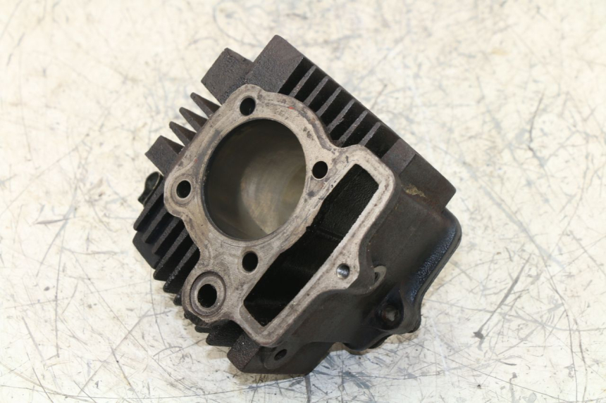 photo de CYLINDER BARREL PANTHERA PANTHERA 110 (2010 - 2017) - Markings and original references