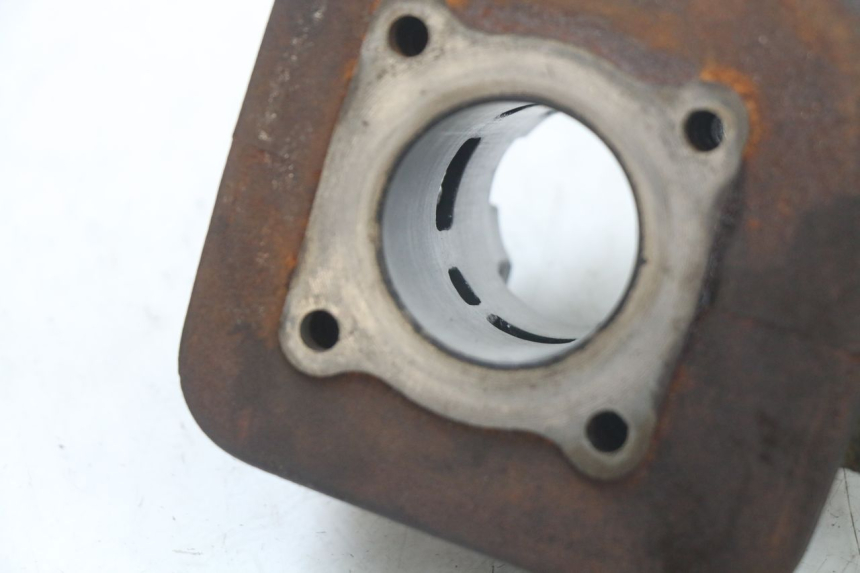 photo de CYLINDER BARREL PEUGEOT LUDIX 50 (2005 - 2007) - Markings and original references