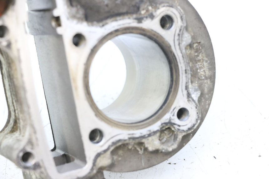photo de CYLINDER BARREL PISTON JM MOTORS F45i 4T 50 (2020 - 2023) - Surface and material condition