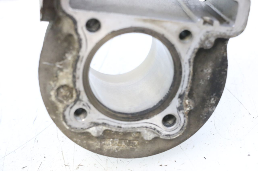 photo de CYLINDER BARREL PISTON JM MOTORS F45i 4T 50 (2020 - 2023) - Checked used part